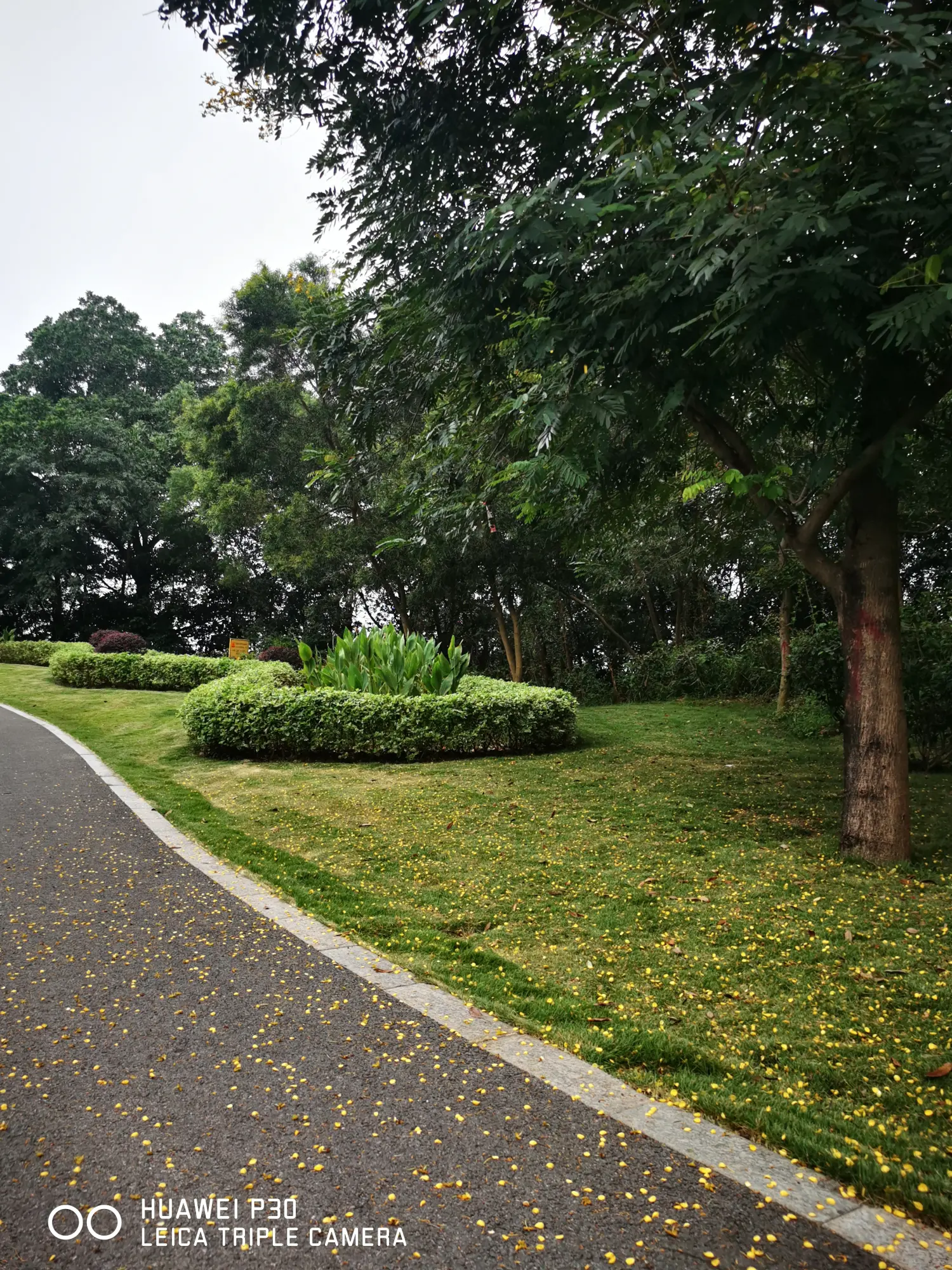 8962057-cebcca2b584c0196.webp